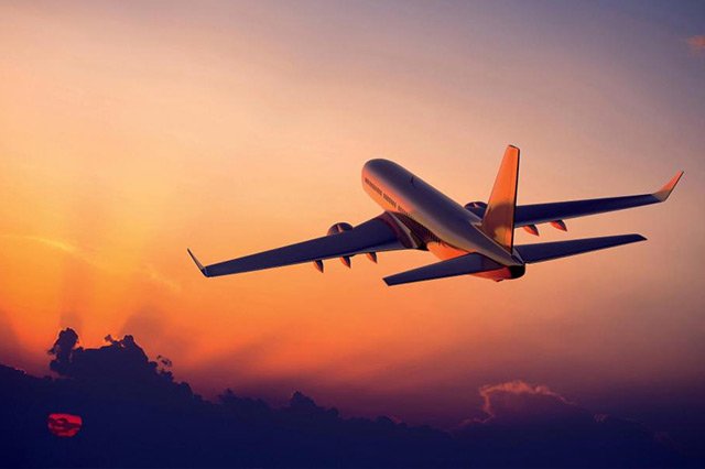 Flight Status